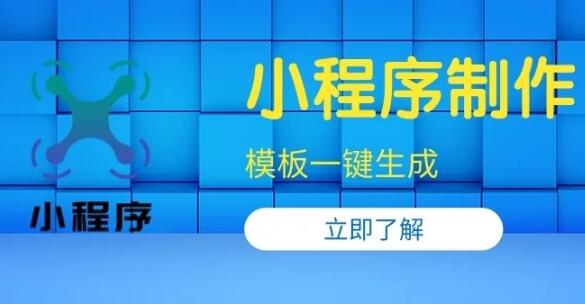 2025年林芝小企业网站建设方案选择指南 林芝网站制作公司的选择问题